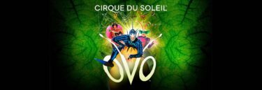 Cirque du Soleil: OVO